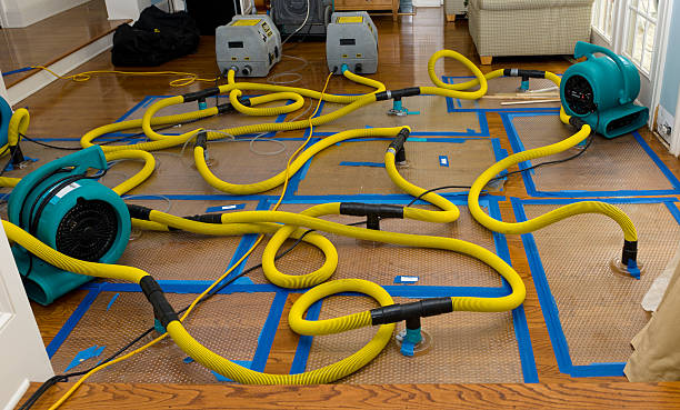 Professional Flood Damage Restoration technician working in Hillsboro, AL
